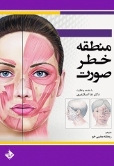 منطقه خطر صورت