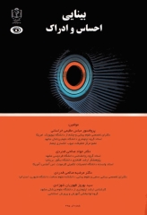 بینایی احساس و ادراک