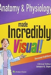 آناتومی و فیزیولوژی مصور به روش آسان | 2014 Anatomy and Physiology Made Incredibly Visual