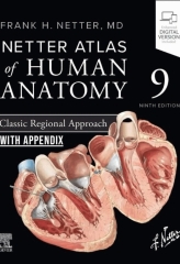 اطلس آناتومی نتر ویرایش نهم 2026 همراه با Appendix انتهای کتاب | Atlas of Human Anatomy Netter