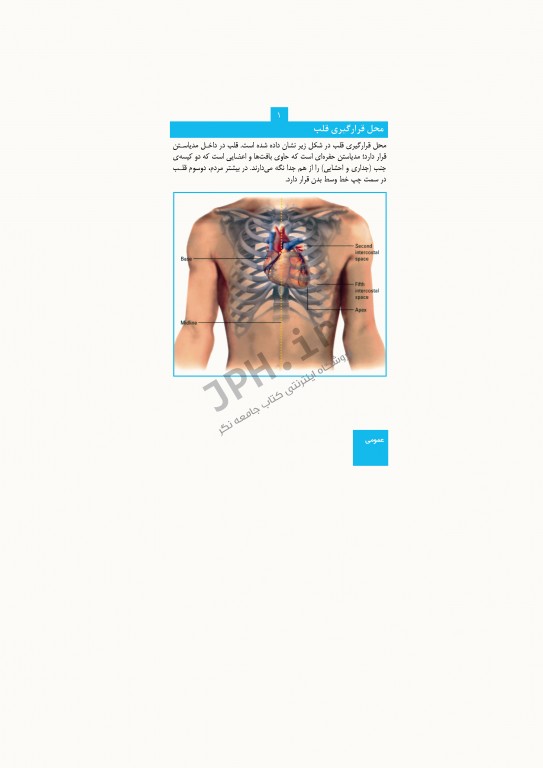 تفسیر ECG به روش سریع خاتونی