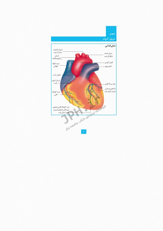 تفسیر ECG به روش سریع خاتونی
