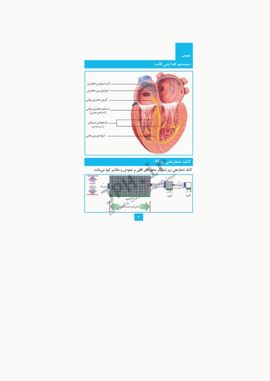تفسیر ECG به روش سریع خاتونی