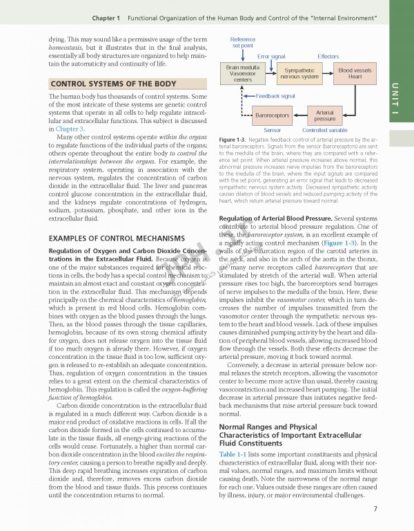فیزیولوژی گایتون و هال 2021 وزیری با جلد هارد| Guyton and Hall Textbook of Medical Physiology 2021