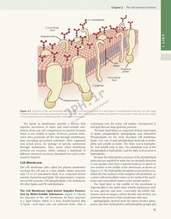 فیزیولوژی گایتون و هال 2021 وزیری با جلد هارد| Guyton and Hall Textbook of Medical Physiology 2021
