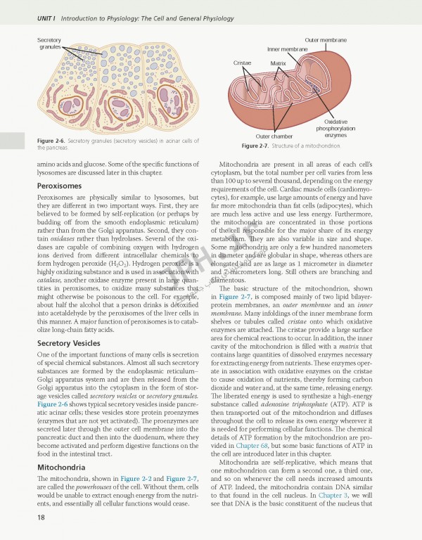 فیزیولوژی گایتون و هال 2021 وزیری با جلد هارد| Guyton and Hall Textbook of Medical Physiology 2021