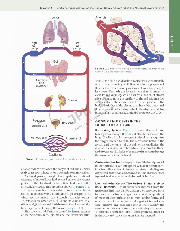 فیزیولوژی گایتون و هال 2021 وزیری با جلد هارد| Guyton and Hall Textbook of Medical Physiology 2021