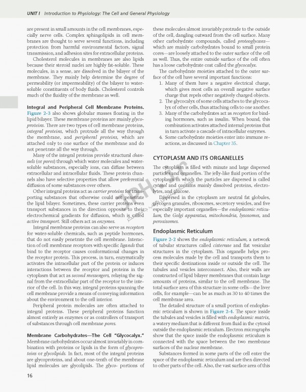 فیزیولوژی گایتون و هال 2021 وزیری با جلد هارد| Guyton and Hall Textbook of Medical Physiology 2021