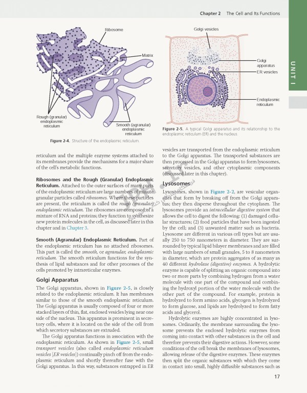 فیزیولوژی گایتون و هال 2021 وزیری با جلد هارد| Guyton and Hall Textbook of Medical Physiology 2021