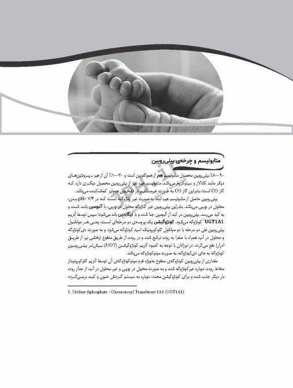 زردی در نوزادان و پاسخ به سوالات رایج