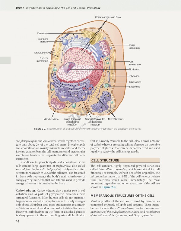 فیزیولوژی گایتون و هال 2021 وزیری با جلد هارد| Guyton and Hall Textbook of Medical Physiology 2021
