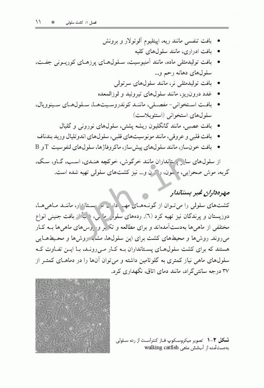 روش‌های عملی در ویروس‌شناسی، کشت سلولی و تکنیک‌های مولکولی همراه با پروتکل