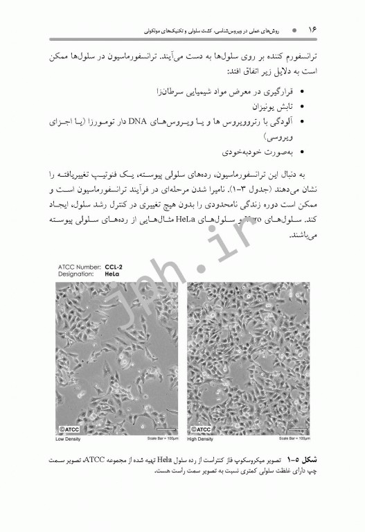 روش‌های عملی در ویروس‌شناسی، کشت سلولی و تکنیک‌های مولکولی همراه با پروتکل