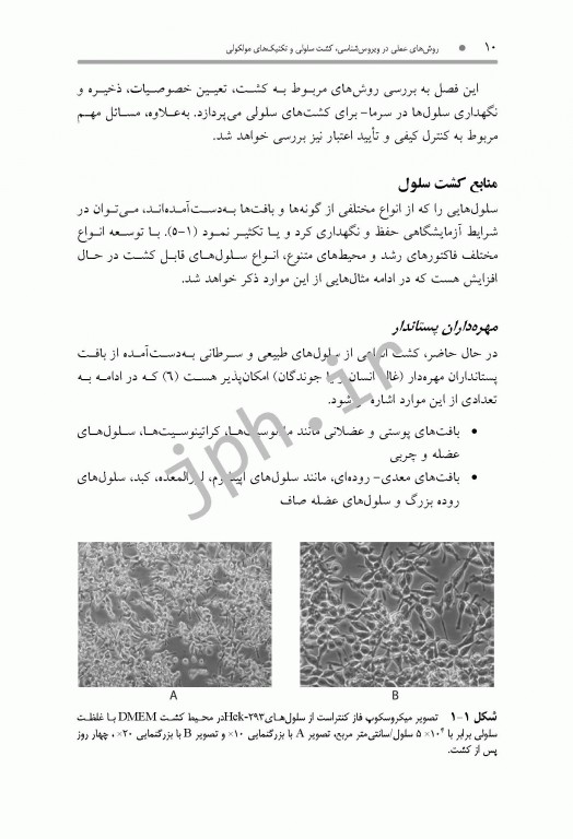 روش‌های عملی در ویروس‌شناسی، کشت سلولی و تکنیک‌های مولکولی همراه با پروتکل