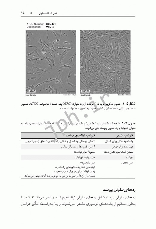 روش‌های عملی در ویروس‌شناسی، کشت سلولی و تکنیک‌های مولکولی همراه با پروتکل