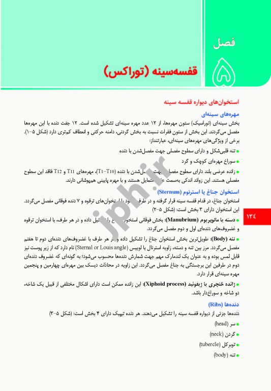 آناتومی برای مامایی دکتر گلچینی و موسوی