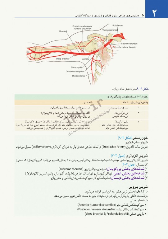 دسترسی‌های جراحی ستون فقرات و ارتوپدی از دیدگاه آناتومی