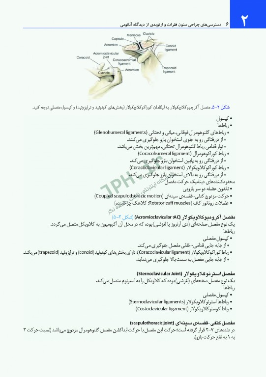 دسترسی‌های جراحی ستون فقرات و ارتوپدی از دیدگاه آناتومی