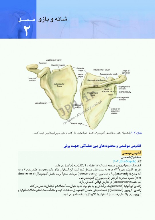 دسترسی‌های جراحی ستون فقرات و ارتوپدی از دیدگاه آناتومی