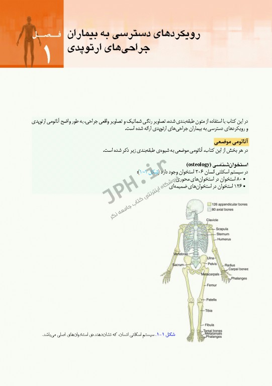 دسترسی‌های جراحی ستون فقرات و ارتوپدی از دیدگاه آناتومی