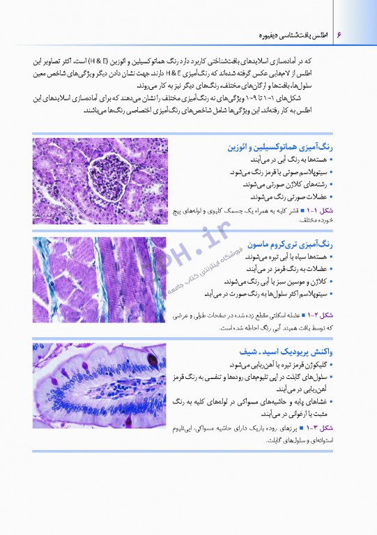 اطلس بافت شناسی دیفیوره 2017 به همراه ارتباطات عملکردی