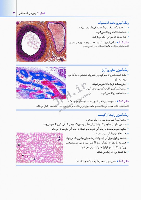 اطلس بافت شناسی دیفیوره 2017 به همراه ارتباطات عملکردی