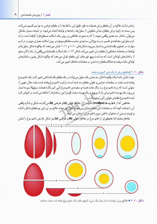 اطلس بافت شناسی دیفیوره 2017 به همراه ارتباطات عملکردی