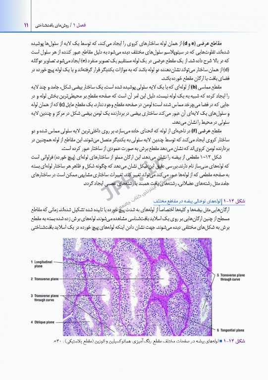اطلس بافت شناسی دیفیوره 2017 به همراه ارتباطات عملکردی
