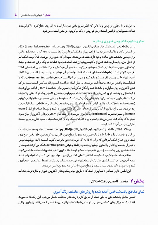 اطلس بافت شناسی دیفیوره 2017 به همراه ارتباطات عملکردی