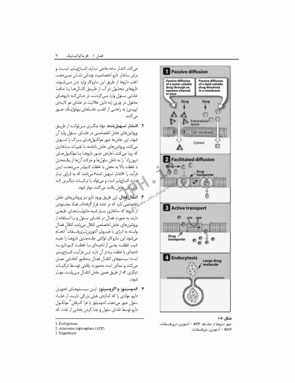 فارماکولوژی مصور لیپینکات ویراست هفتم 2018