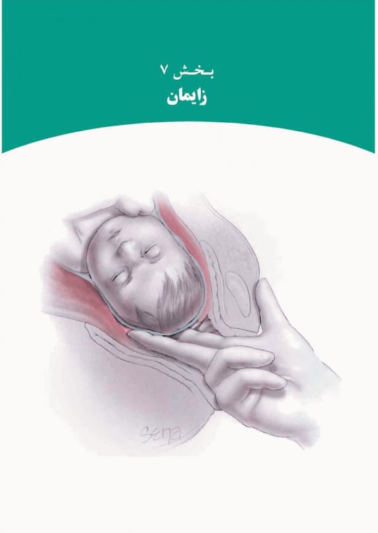 بارداری و زایمان ویلیامز 2018 ارجمند جلد دوم رنگی