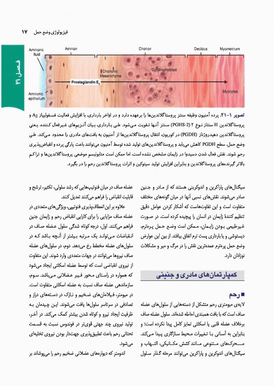 بارداری و زایمان ویلیامز 2018 ارجمند جلد دوم رنگی