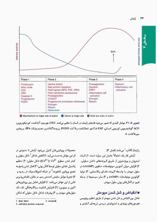 بارداری و زایمان ویلیامز 2018 ارجمند جلد دوم رنگی