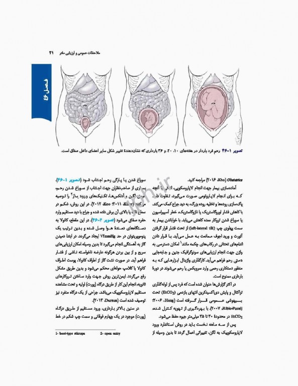 بارداری و زایمان ویلیامز 2018 ارجمند جلد سوم رنگی