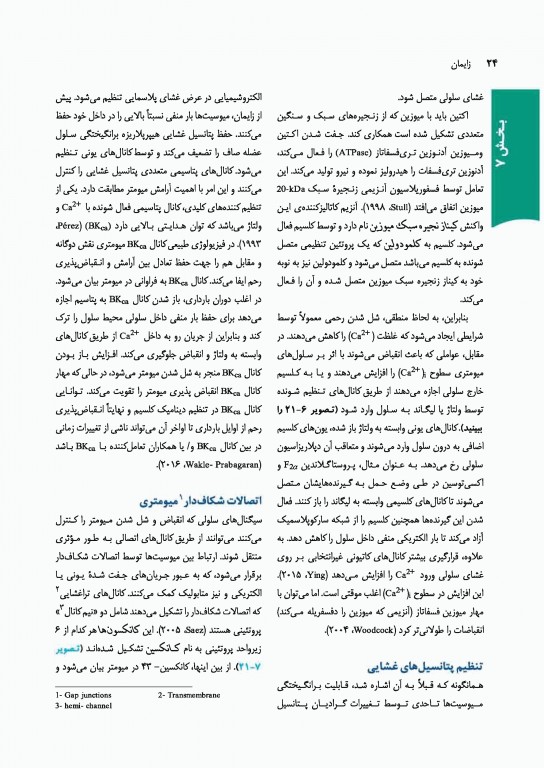 بارداری و زایمان ویلیامز 2018 ارجمند جلد دوم رنگی