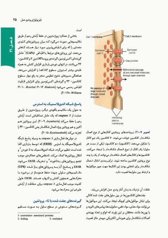 بارداری و زایمان ویلیامز 2018 ارجمند جلد دوم رنگی