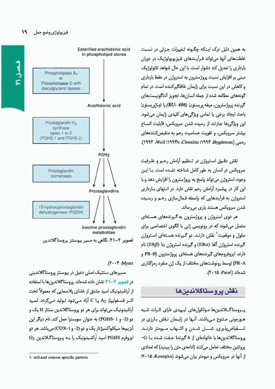 بارداری و زایمان ویلیامز 2018 ارجمند جلد دوم رنگی