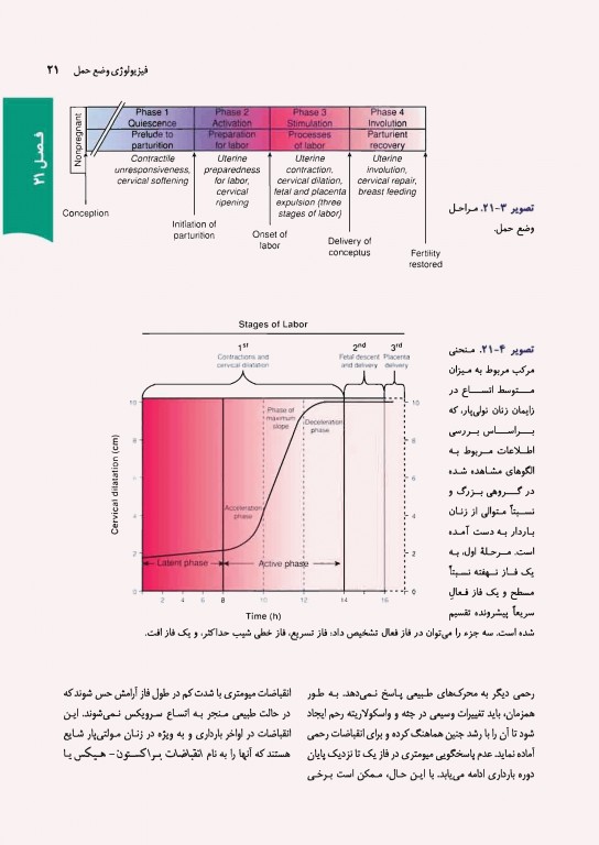 بارداری و زایمان ویلیامز 2018 ارجمند جلد دوم رنگی