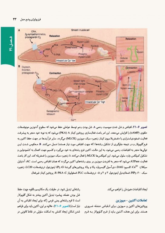 بارداری و زایمان ویلیامز 2018 ارجمند جلد دوم رنگی