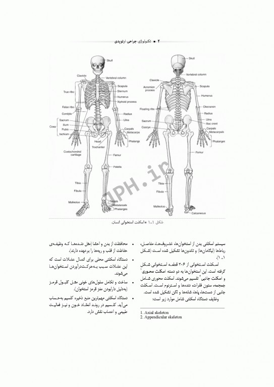 تکنولوژی جراحی ارتوپدی ساداتی و گلچینی