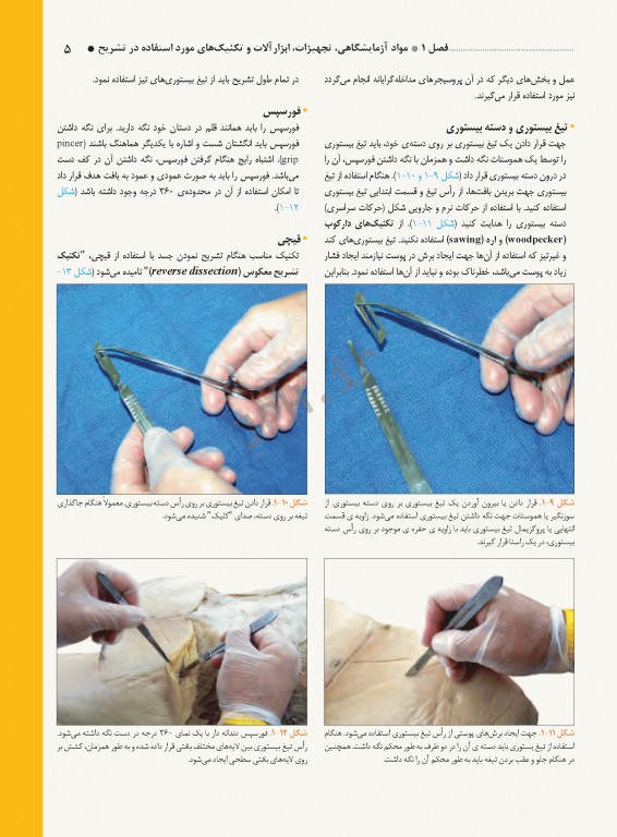 راهنمای بالینی و مصور تشریح بدن انسان گری 2020