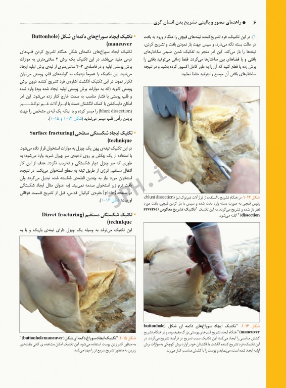 راهنمای بالینی و مصور تشریح بدن انسان گری 2020