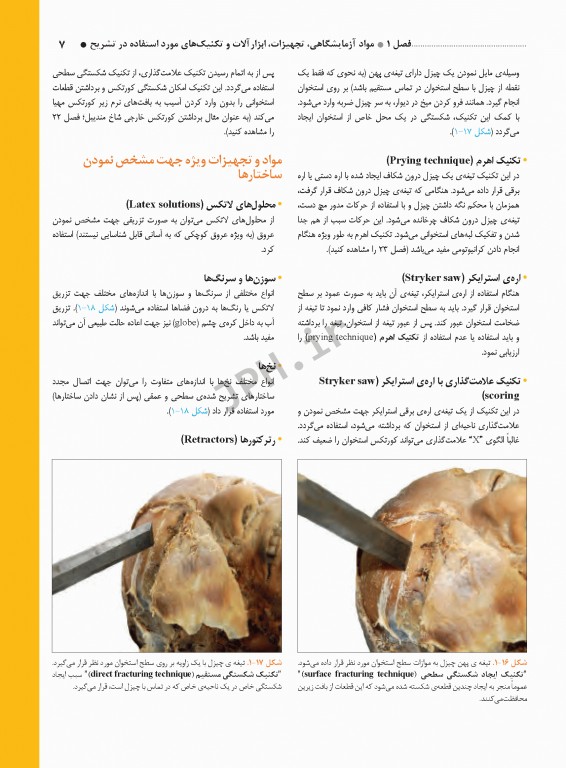 راهنمای بالینی و مصور تشریح بدن انسان گری 2020