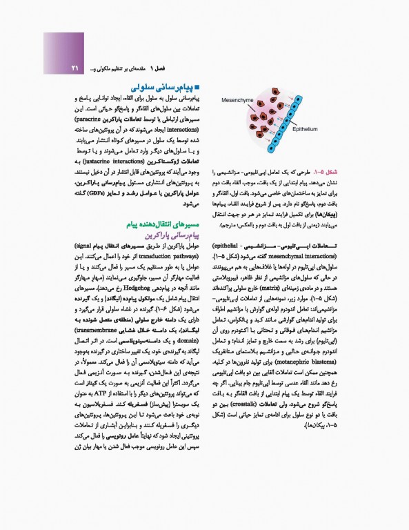 جنین‌شناسی پزشکی لانگمن 2019 دکتر حسن زاده نشر ارجمند