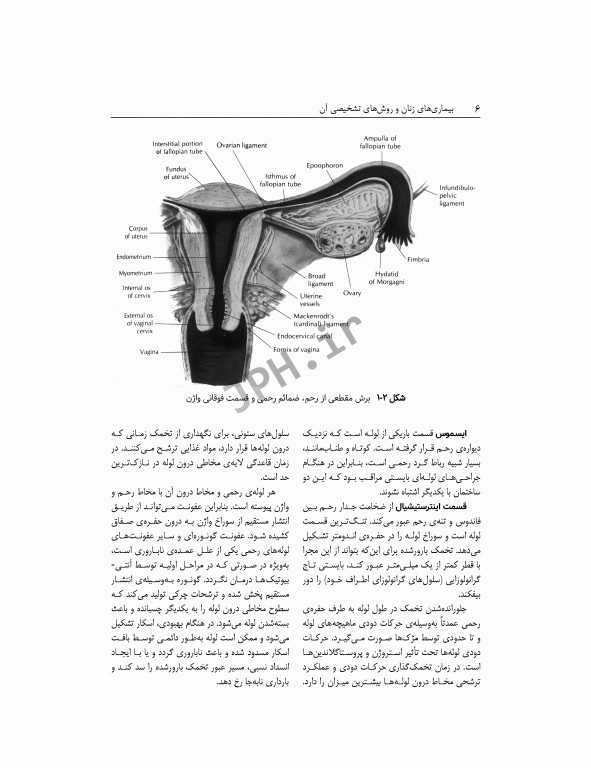 بیماری‌های زنان و روش‌های تشخیصی آن ویراست دوم