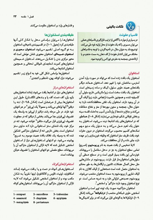 آناتومی بالینی اسنل 2019 دکتر حسن زاده جلد اول تنه