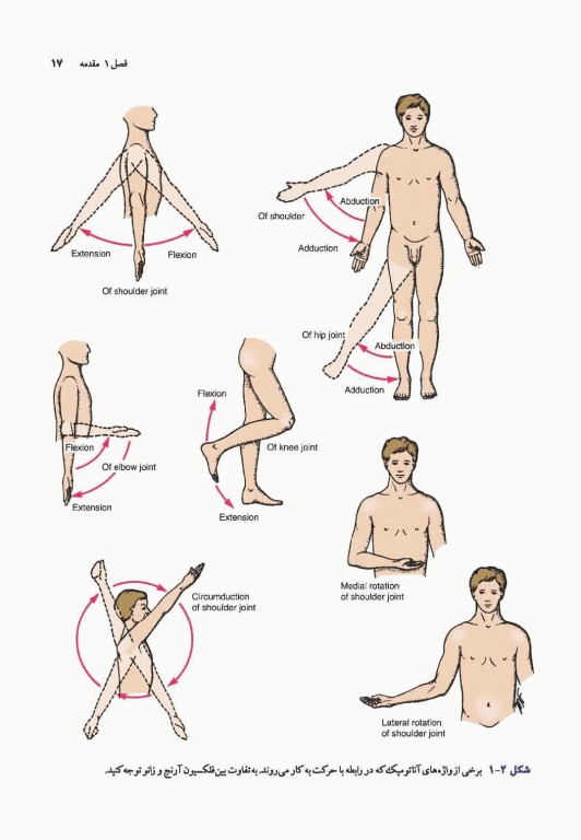 آناتومی بالینی اسنل 2019 دکتر حسن زاده جلد اول تنه