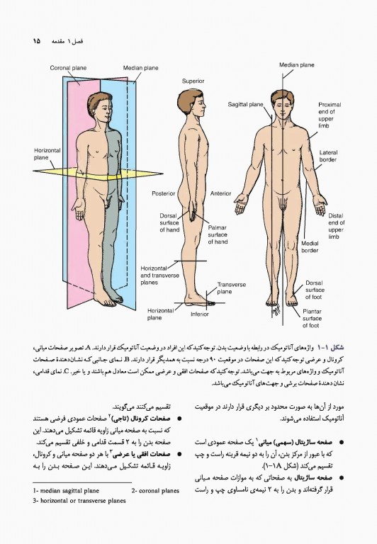 آناتومی بالینی اسنل 2019 دکتر حسن زاده جلد اول تنه