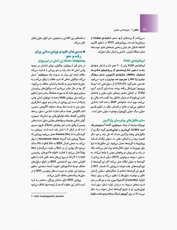 جنین‌شناسی پزشکی لانگمن 2019 دکتر حسن زاده نشر ارجمند