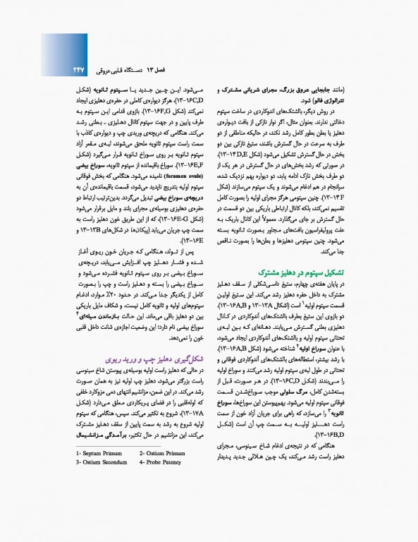 جنین‌شناسی پزشکی لانگمن 2019 دکتر حسن زاده نشر ارجمند